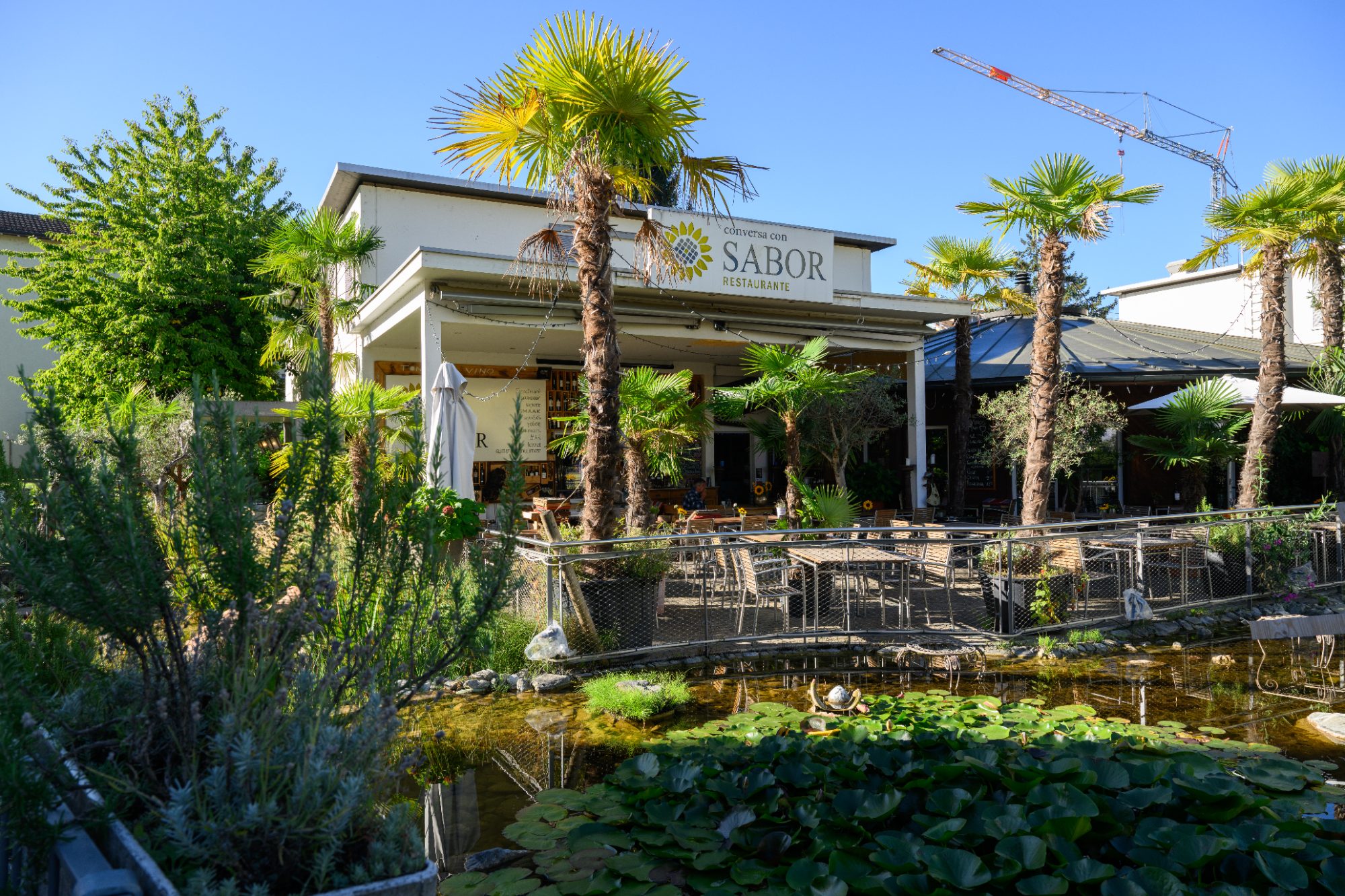 Restaurant, Schlieren Zentrum